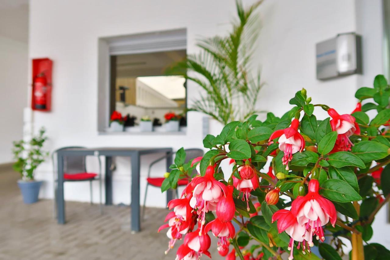 גנט Hotel Adoma מראה חיצוני תמונה